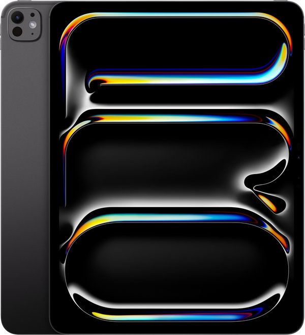 IPAD PRO 13 M5 WF 1TB SBLK